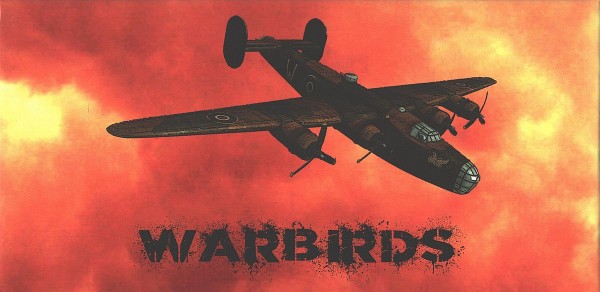 Warbirds - Co-operative Game about Crewing a Bomber during WW2